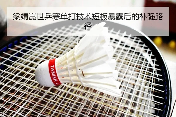 梁靖崑世乒赛单打技术短板暴露后的补强路径