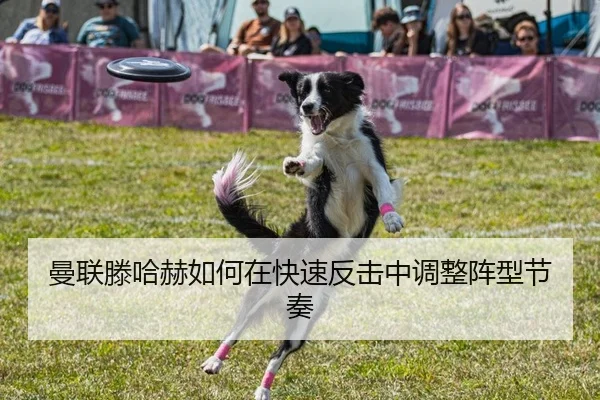 曼联滕哈赫如何在快速反击中调整阵型节奏